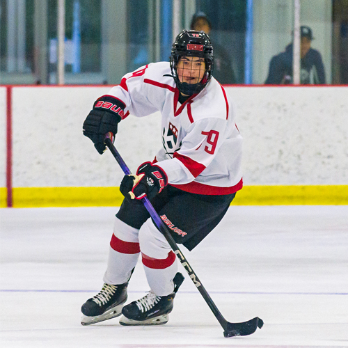 15-hockey-grid-03 15-hockey-grid-03
