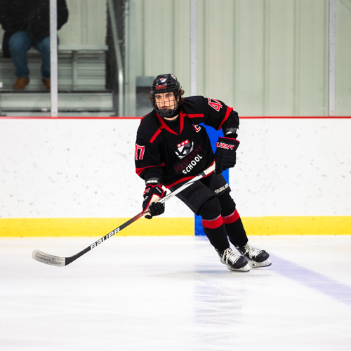 16-hockey-grid-01 16-hockey-grid-01
