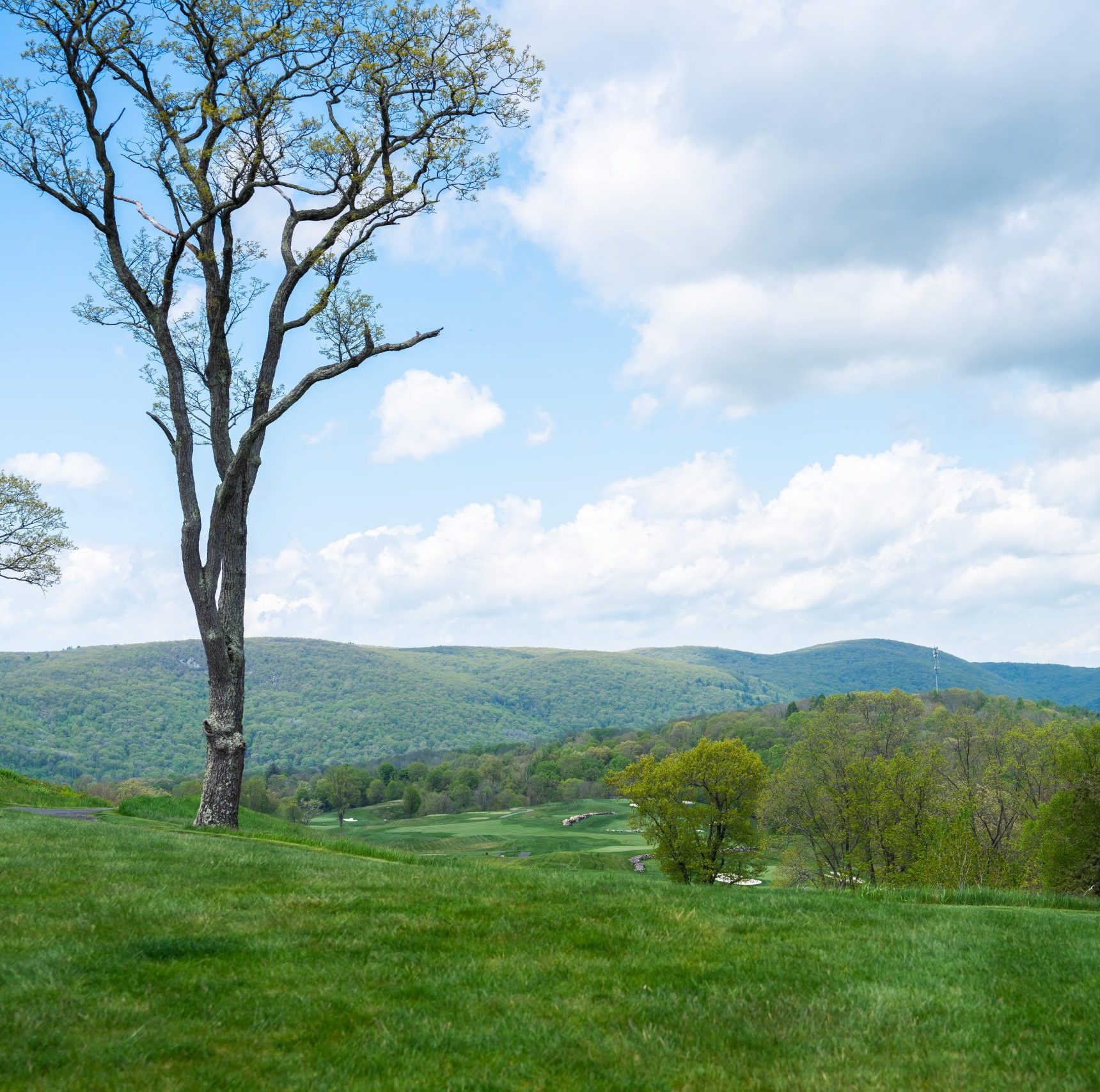 Copy of New England Golf Championship-25-min https://sksathletics.org/wp-content/uploads/2025/10/Copy-of-New-England-Golf-Championship-25-min-scaled-e1760991475381.jpg